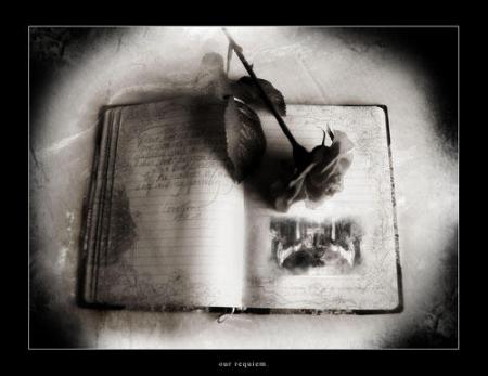 quelques citations
